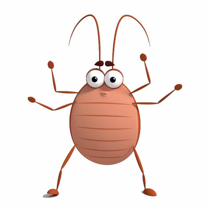 Beetle Level Training