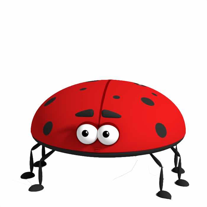 Ladybug Level Training