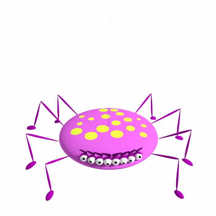 Spider Level Training